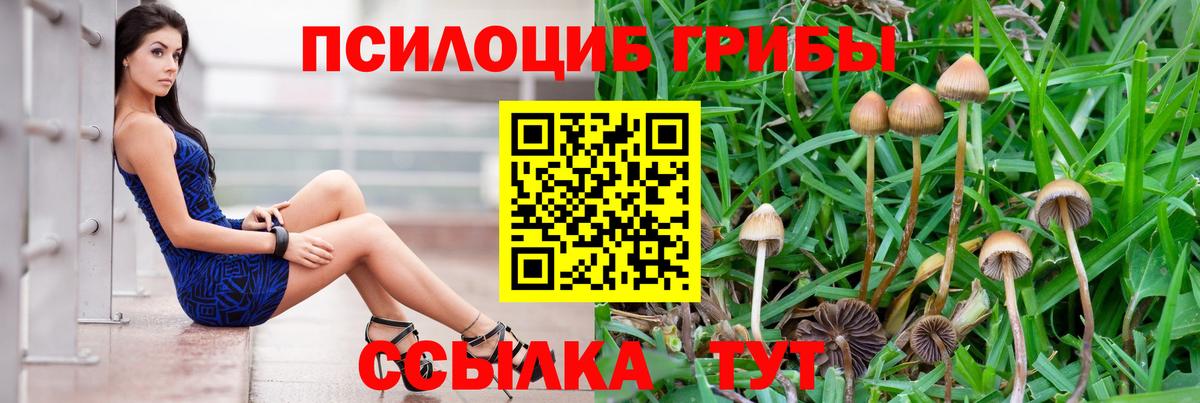 Псилоцибиновые грибы прущие грибы  Галлюциногенные грибы Magic Shrooms  Нижний Новгород  Вход с VPN 